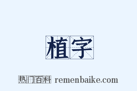 植字是什么意思的图片